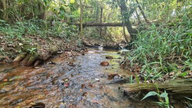 Água do Descoberto